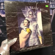 Capa do artigo Alone With Gary Wilson - Vinil