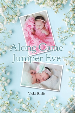 Capa do artigo Along Came Juniper Eve