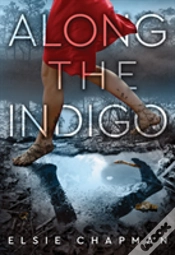 Capa do artigo Along The Indigo