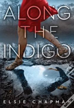 Capa do artigo Along The Indigo