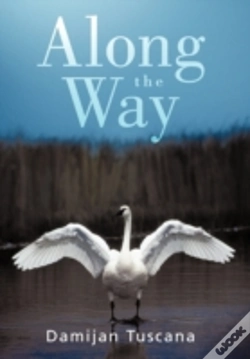 Capa do artigo Along The Way