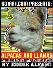 Alpacas And Llamas
