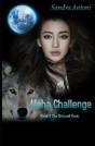 Alpha Challenge - Preview