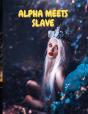 Alpha Meets Slave - Preview