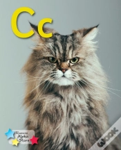 Capa do artigo Alpha Stars Cc