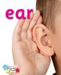 Alpha Stars Ear - Preview
