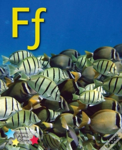 Capa do artigo Alpha Stars Ff