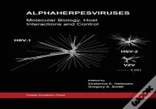 Alphaherpesviruses