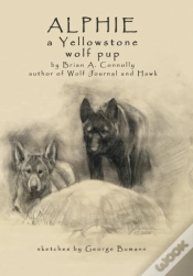 Capa do artigo Alphie, A Yellowstone Wolf Pup