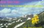 Alpine Flower Finder: A Guide - Preview
