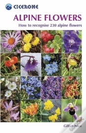 Capa do artigo Alpine Flowers