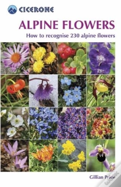 Capa do artigo Alpine Flowers