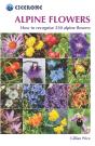 Alpine Flowers - Preview