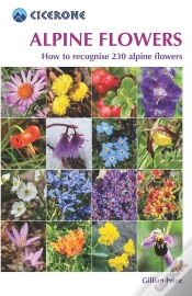 Capa do artigo Alpine Flowers