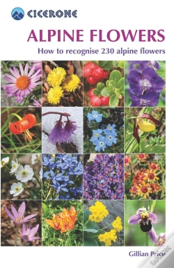 Capa do artigo Alpine Flowers