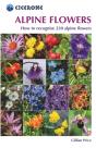 Alpine Flowers - Preview
