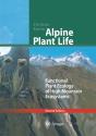 Alpine Plant Life - Preview
