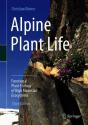 Alpine Plant Life - Preview