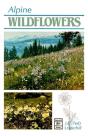 Alpine Wildflowers - Preview