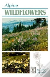 Alpine Wildflowers