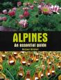 Alpines - Preview