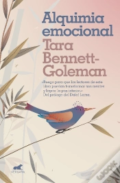 Capa do artigo Alquimia Emocional