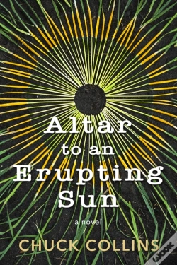 Capa do artigo Altar To An Erupting Sun