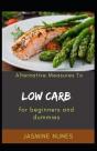 Alternative Measures To Low Carb For Beginners And Dummies - Preview