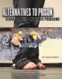 Alternatives To Prison - Preview