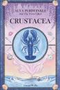 Alva Periwinkle And The Town Called Crustacea - Preview