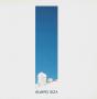 Álvaro Siza, 1986-95 - Preview