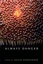 Always Danger - Preview