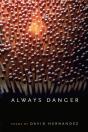 Always Danger - Preview