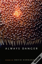 Capa do artigo Always Danger