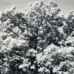 Capa do artigo Always Digging the Same Hole - CD