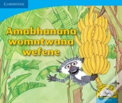 Capa do artigo Amabhanana Womntwana Wefene