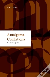 Capa do artigo Amalgama / Conflations