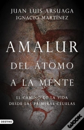 Capa do artigo Amalur