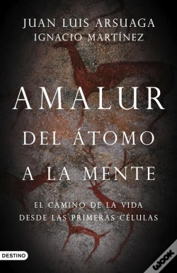 Capa do artigo Amalur