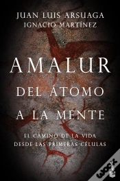 Capa do artigo Amalur