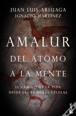 Capa do artigo Amalur
