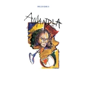 Capa do artigo Amandla - Vinil