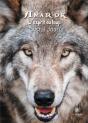 Amarok, L'Esprit Du Loup - Preview