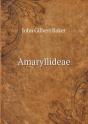Amaryllideae - Preview