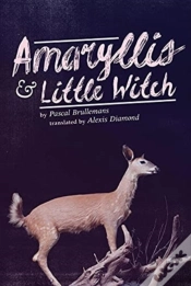 Capa do artigo Amaryllis & Little Witch
