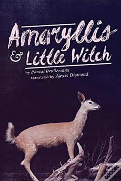 Capa do artigo Amaryllis & Little Witch