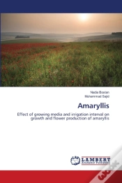 Capa do artigo Amaryllis