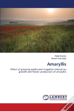 Capa do artigo Amaryllis