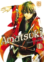 Capa do artigo Amatsuki T.1