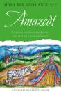 Amazed! - Preview